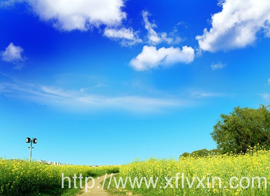 除塵濾芯廠家,保衛環境的衛士